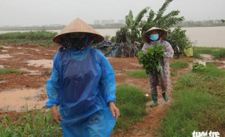 Miền Trung mưa lớn trong hai ngày tới, lo với lũ quét